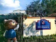 -玛利娅蒙特梭利双语幼儿园·托育(百家湖直营园)