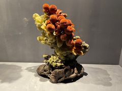 -青田石雕博物馆