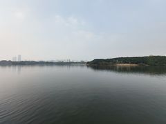 -海珠湖公园