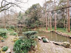 -虎跑公园