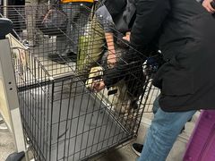 -谢列梅捷沃国际机场