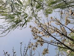 -木塔寺遗址生态公园