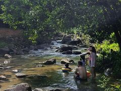 -广州白江湖森林公园