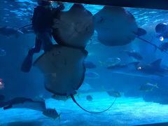 -常州海昌海洋探索馆