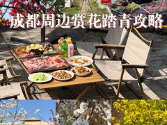 -桃源山庄·水蜜桃采摘·柴火鸡·烧烤团建(龙泉山店)