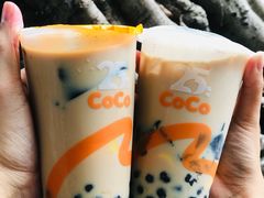 -CoCo都可(惠福店)