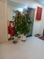 点击看大图 -贝美佳产后修复中心