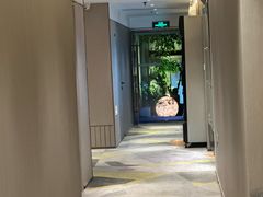 -金色希望596