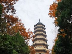 -灵谷景区