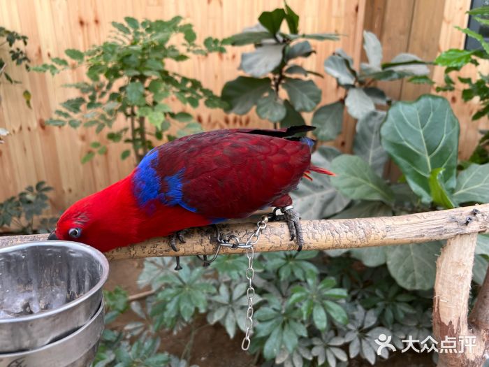 南宫五洲植物乐园图片