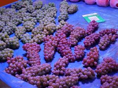 -五里多农博广场