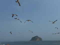 -棒棰岛宾馆景区