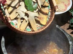 -蘑界·野生菌火锅(深业上城店)