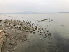 -深圳湾公园(南山区)