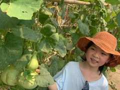 -马陆小张葡萄园农家乐