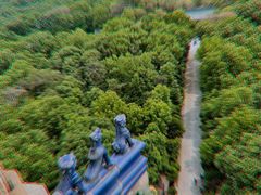 -灵谷景区