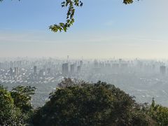 -大蜀山国家森林公园