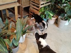 -自由生长植物工作室(深港花卉中心店)