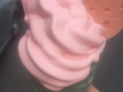 -麦当劳(曲阳店)