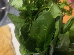 -江小渔鲜鱼火锅(辽沈二街店)