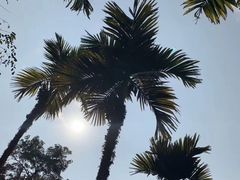 -海南槟榔谷黎苗文化旅游区