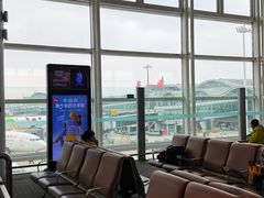 -杭州萧山国际机场