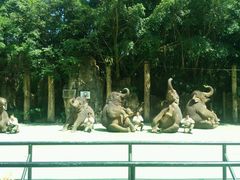 -大象剧场