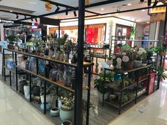 -万达广场(金堂店)