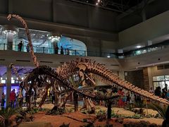-自贡恐龙博物馆
