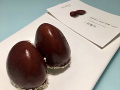 一对栗子-青山研究所Aoyama Lab