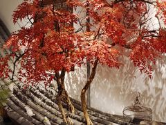 -蘭奢雅集·江浙菜(青山江滩店)