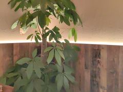 -慢丽江·云南野生菌土鸡锅(付家庄店)