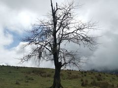 -硗碛藏寨·神木垒景区