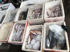 -文昌铺前老街