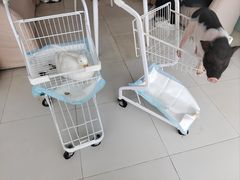 -怪兽屋·羊驼·猫咖·狗咖(俊华广场店)
