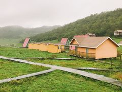 -关山草原