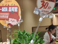 豌豆尖儿-海底捞火锅(锦艺城店)