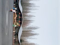 -东平国家森林公园