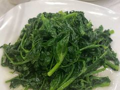 清炒豌豆尖-老浒记民俗酒楼(王府井店)