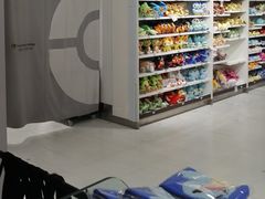 -超级宝可梦中心(东京店)
