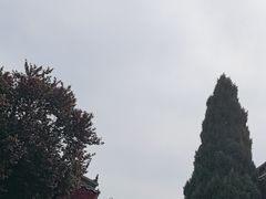 -开封府