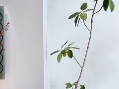 门面-dotcom coffee古点咖啡(致真大厦店)