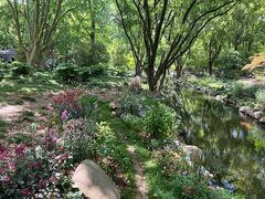 -上海共青森林公园