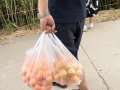 -竹泉村旅游度假区
