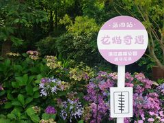 -上海滨江森林公园