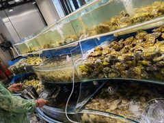 -四海蒸鲜蒸汽海鲜自助(北戴河店)