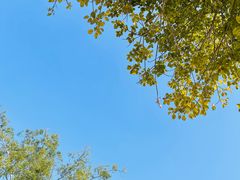 -南宁花花大世界景区