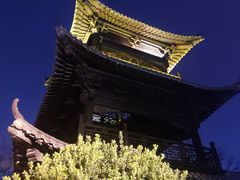 -台儿庄古城