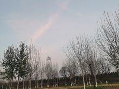 -汉长安城未央宫国家考古遗址公园