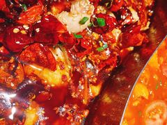 -舒来喜鱼锅(伊河路店)